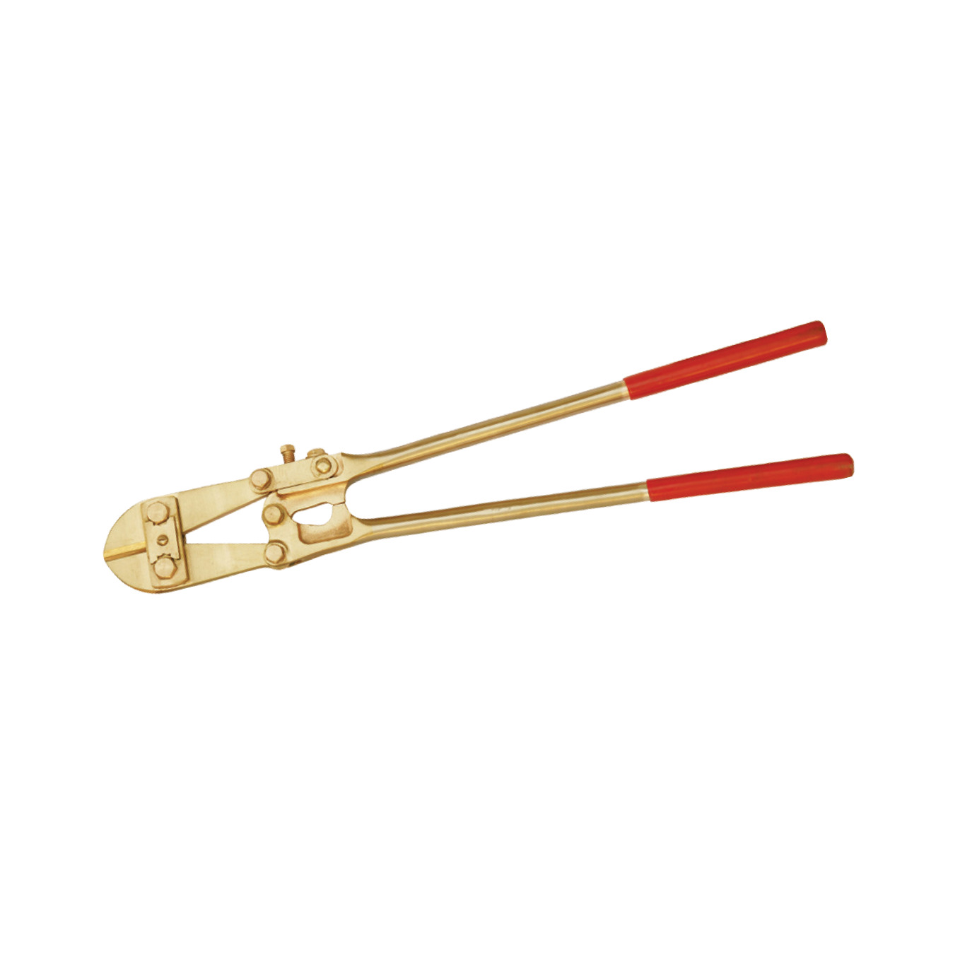 CLESTI BULOANE - AEX