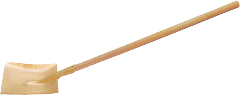 Lopeti patrate cu coada scurta - AEX