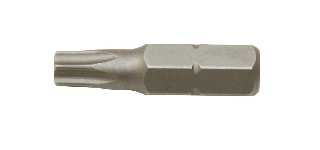 Set 10 bituri pentru locas Tamper Torx 1/4