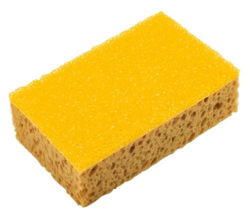 Bureți