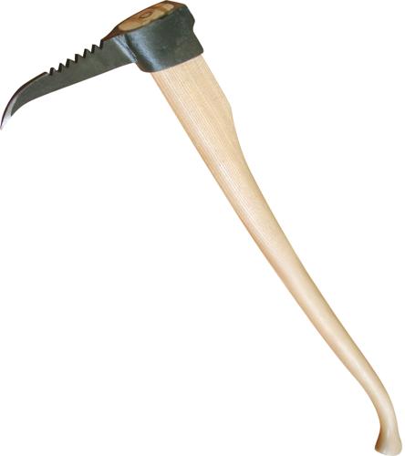 Tapine